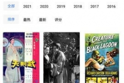 91在线视频国产,国产生态下的创新与崛起