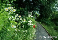 夏至当天吃什么,品味传统美食，共度盛夏时光